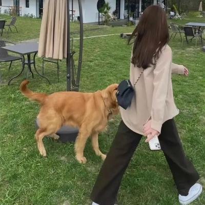 霸王别姬